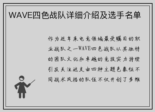 WAVE四色战队详细介绍及选手名单